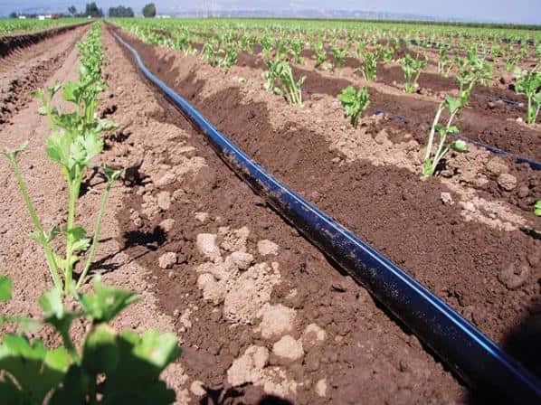 تصویر 1 از خرید نوار آبیاری قطره ای + قیمت فروش استثنایی